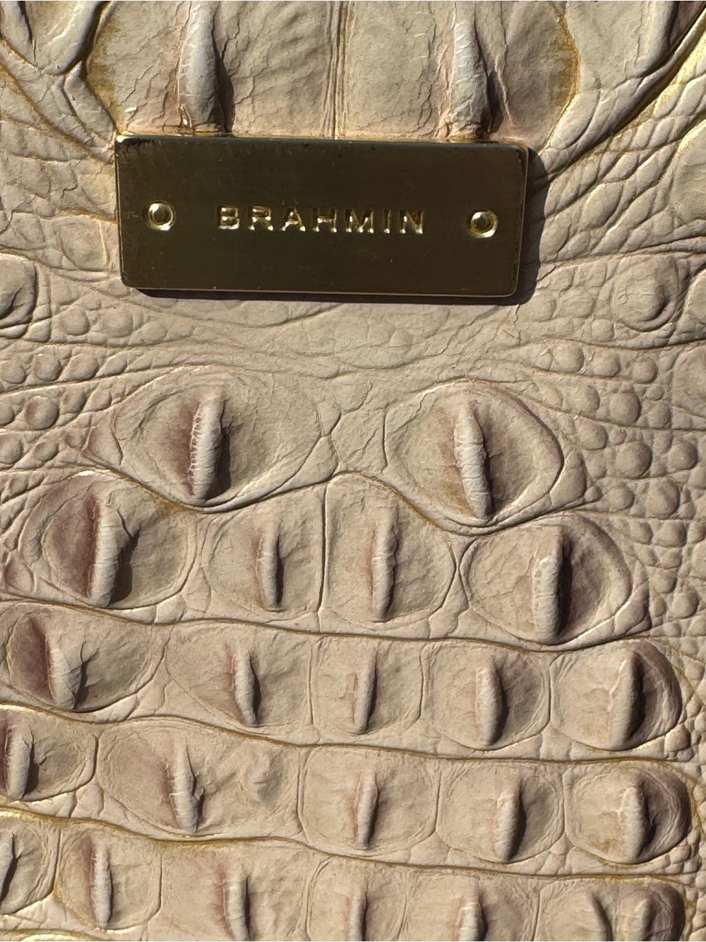 Brahmin Viviani Croc Embossed Leather Satchel Crossbody Brown Cream GUC w/duster - Picture 2 of 15